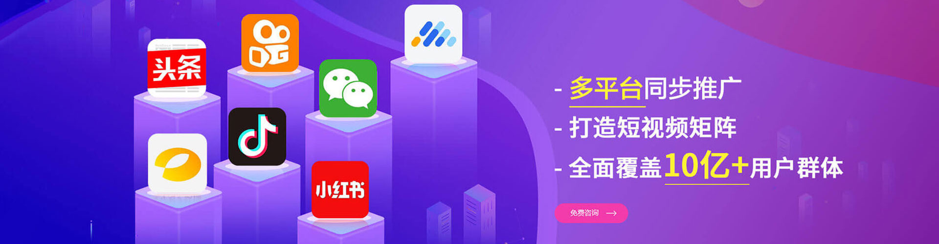 芦山竞价端口开户