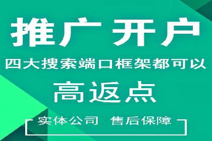 SEM优化策略：实战案例解析与优化技巧